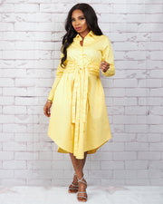 MINA BUTTON DOWN DRESS